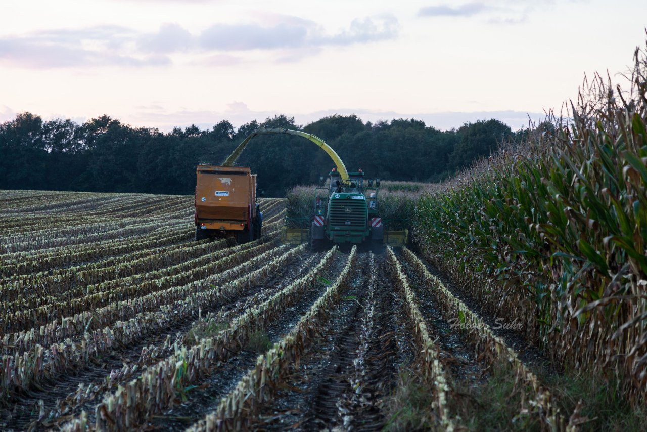 Bild 39 - Maisernte am 11.10.12